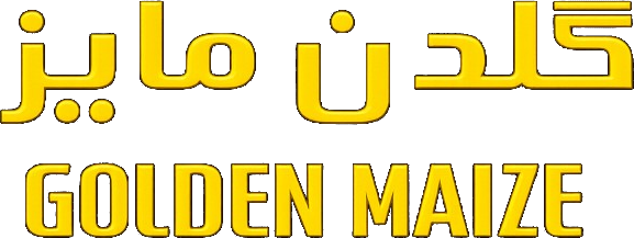 گلدن مایز